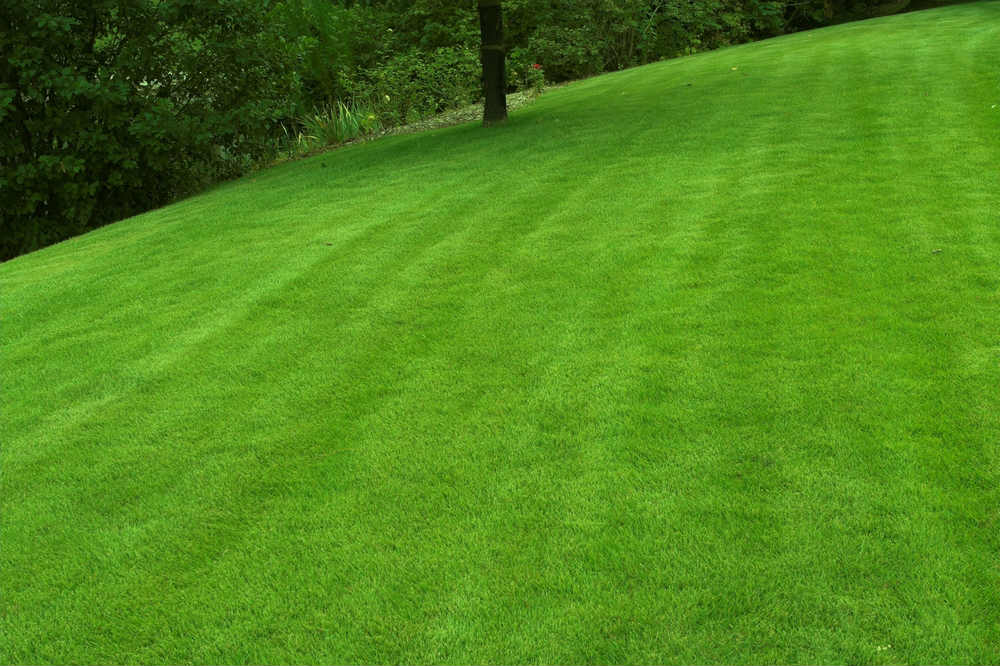 How To Manage A Sloping Garden ||||sloping garden