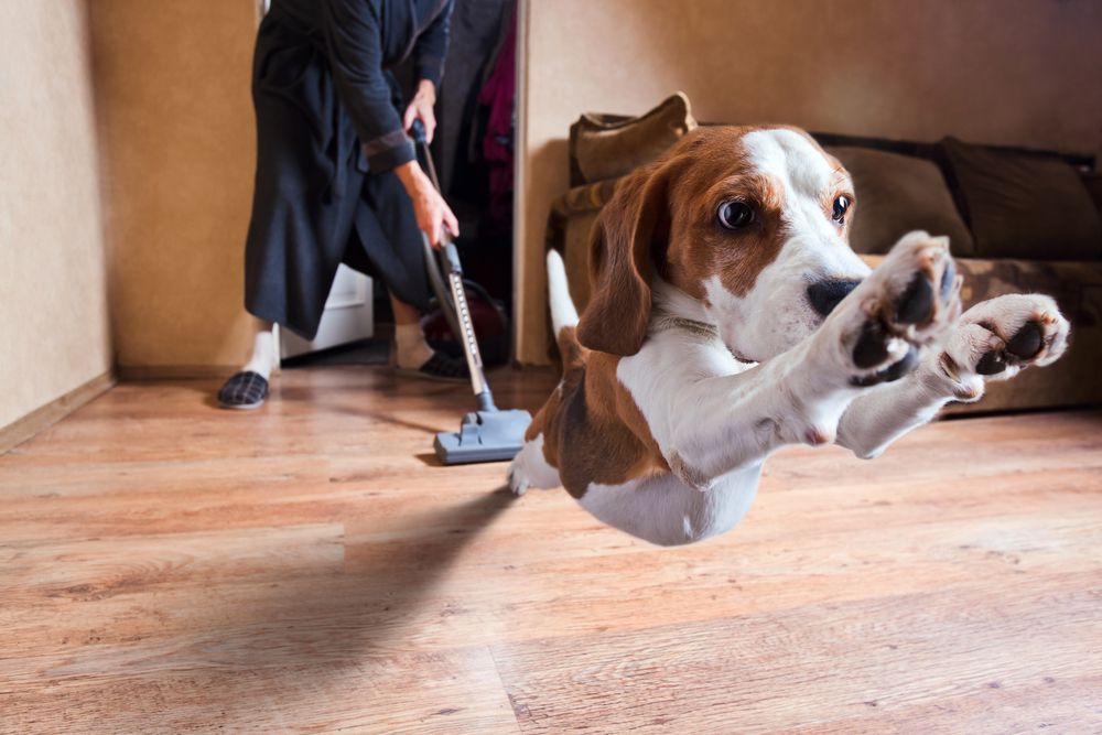 Take care of your floor Take care of your floor