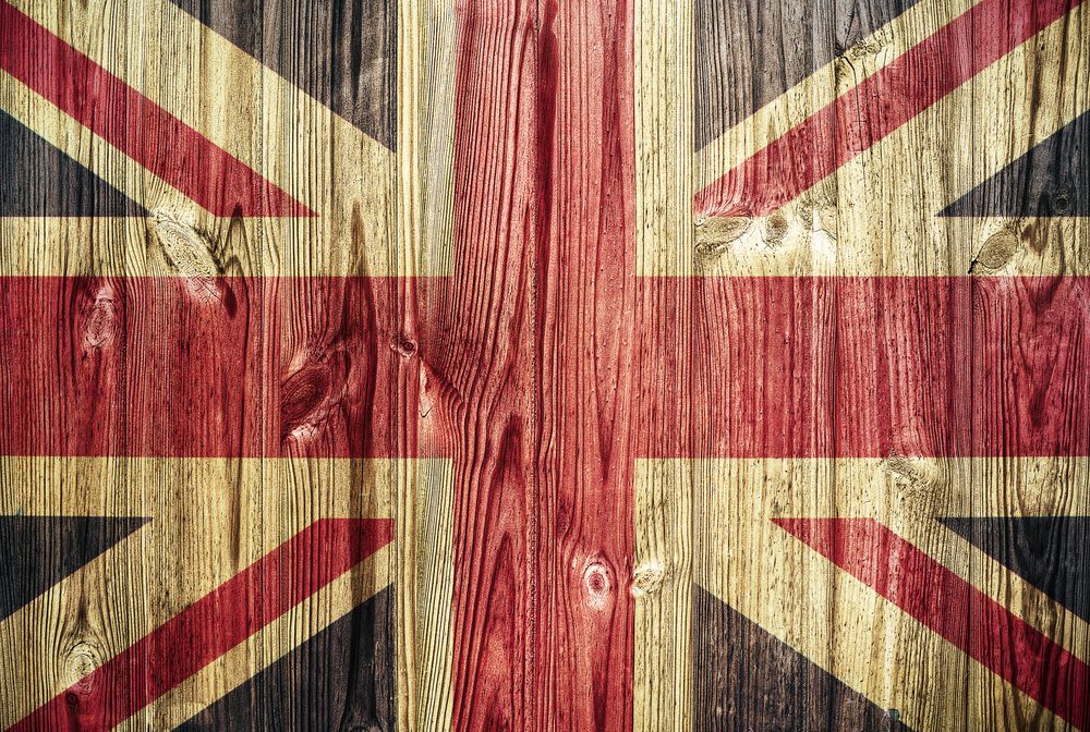 uk wooden floor|Oak tree in English forest