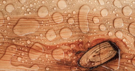 What Causes Hardwood Flooring Gaps? wood-flooring-moisture