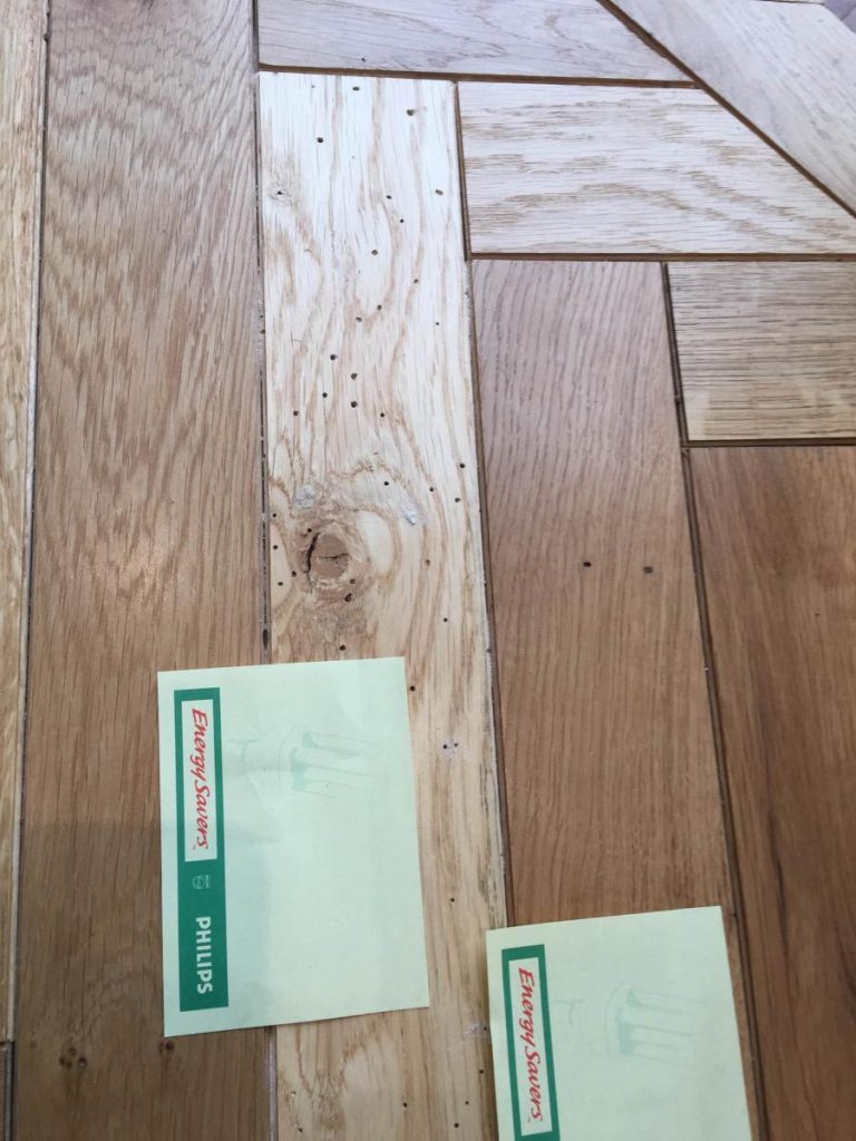 Woodworms problems